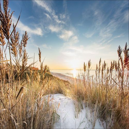 4019449471575 - PRO ART Aludibondbild WILDERSTRAND (BHT 98x98x110 cm) BHT 98x98x110 cm bunt Alubild Metallbild 4019449471575 - PRO ART Aludibondbild WILDERSTRAND (BHT 98x98x110 cm) BHT 98x98x110 cm bunt Alubild Metallbild