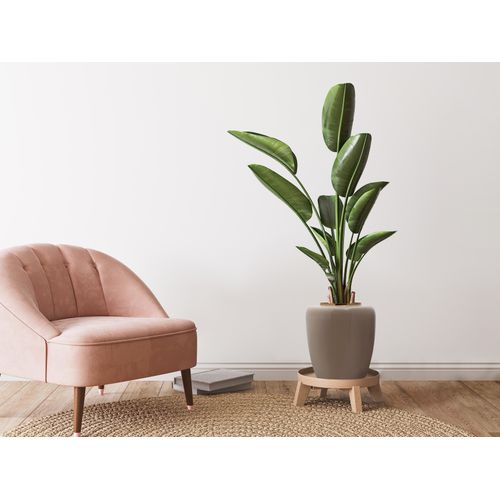 4063074536154 - Dekovase KAYOOM Vase Artisse 125 grau (taupe gold) B34cm Vasen Dekorative Metall-Vase glanzvoll lackiert Innenversiegelung