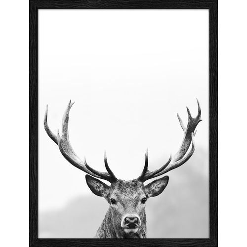 4019449465901 - PRO ART Gerahmtes-Bild GREY DEER HEAD (BHT 4250x3250x2 cm) BHT 4250x3250x2 cm bunt 4019449465901 - PRO ART Gerahmtes-Bild GREY DEER HEAD (BHT 4250x3250x2 cm) BHT 4250x3250x2 cm bunt