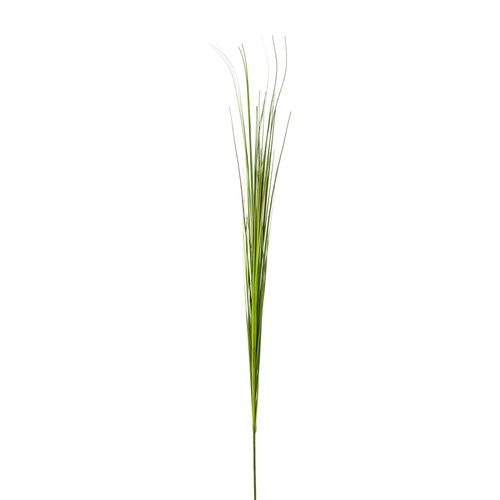 4003529882658 - Ziergras - Isolepsis 86 cm - Kunstblumen - Gasper 4003529882658 - Ziergras - Isolepsis 86 cm - Kunstblumen - Gasper