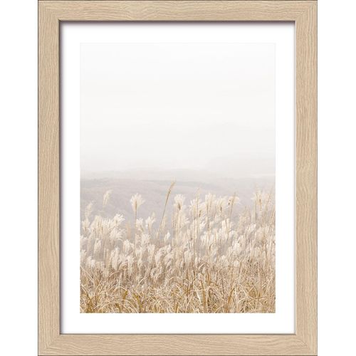4019449493546 - PRO ART Gerahmtes Bild DRIED FIBER IV (BHT 19x24x180 cm) BHT 19x24x180 cm bunt 4019449493546 - PRO ART Gerahmtes Bild DRIED FIBER IV (BHT 19x24x180 cm) BHT 19x24x180 cm bunt