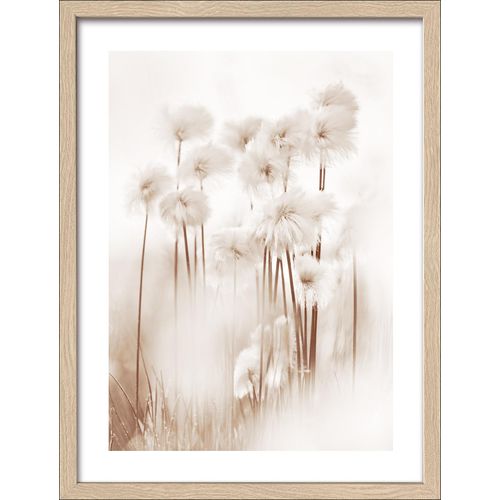 4019449501586 - Gerahmtes Bild DRIED FIBER VII 4019449501586 - Gerahmtes Bild DRIED FIBER VII