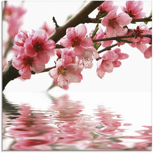 4055327037525 - Glasbild ARTLAND Pfirsichblüten reflektieren im Wasser Bilder Gr B H 50 cm x 50 cm Blumen 1 St pink Glasbilder Bilder in verschiedenen Größen 4055327037525 - Glasbild ARTLAND Pfirsichblüten reflektieren im Wasser Bilder Gr B H 50 cm x 50 cm Blumen 1 St pink Glasbilder Bilder in verschiedenen Größen