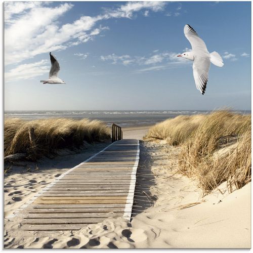 4058661624345 - Glasbild ARTLAND Nordseestrand auf Langeoog mit Möwen Bilder Gr B H 50 cm x 50 cm Glasbild Strand 1 St blau Glasbilder in verschiedenen Größen