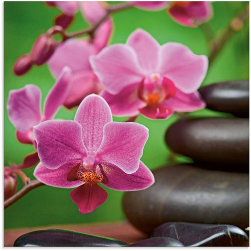 4058661606945 - Glasbild ARTLAND Zen Basaltsteine und Bambus auf Holz Bilder Gr B H 50 cm x 50 cm Zen 1 St pink Glasbilder Bilder in verschiedenen Größen 4058661606945 - Glasbild ARTLAND Zen Basaltsteine und Bambus auf Holz Bilder Gr B H 50 cm x 50 cm Zen 1 St pink Glasbilder Bilder in verschiedenen Größen