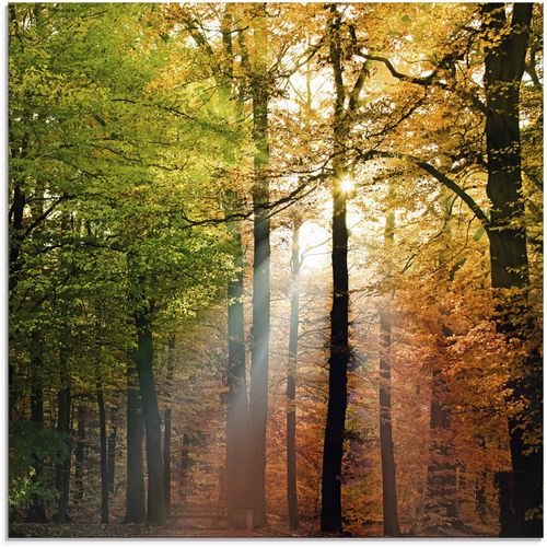 4055327035187 - Glasbild ARTLAND Schöner Herbsttag 2 Bilder Gr B H 50 cm x 50 cm Glasbild Wald 1 St braun Glasbilder in verschiedenen Größen