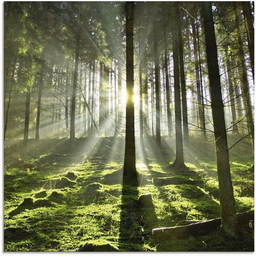 4055327027229 - Glasbild ARTLAND Wald im Gegenlicht Bilder Gr B H 50 cm x 50 cm Wald 1 St grün Glasbilder Bilder in verschiedenen Größen 4055327027229 - Glasbild ARTLAND Wald im Gegenlicht Bilder Gr B H 50 cm x 50 cm Wald 1 St grün Glasbilder Bilder in verschiedenen Größen