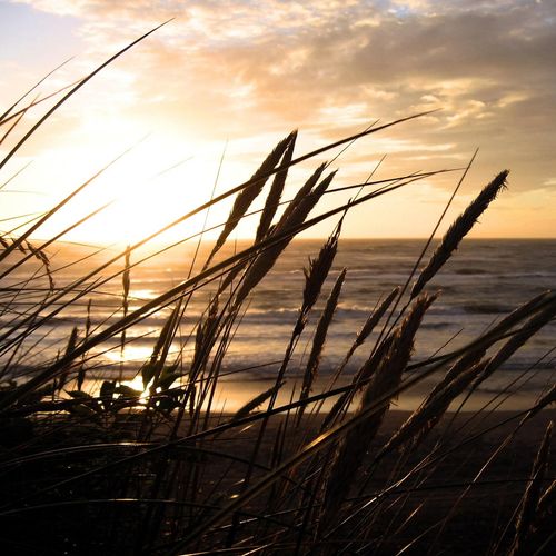 4067437118513 - Keilrahmenbild Sylt 4067437118513 - Keilrahmenbild Sylt