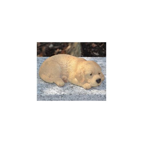4251639200194 - Dazikemo Dekofigur Gartenfigur Golden Retriever 4251639200194 - Dazikemo Dekofigur Gartenfigur Golden Retriever