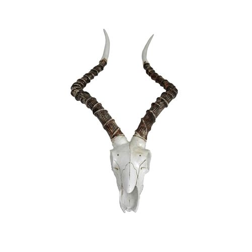 4059865303036 - Impalakopf Impala Wanddekoration Geweih Jagdtrophäe Gehörn Jagd Jagen Deko