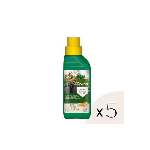 8721278900657 - Plant in a Box - Pokon Universelles flüssiges Pflanzenfutter - 25 Liter 8721278900657 - Plant in a Box - Pokon Universelles flüssiges Pflanzenfutter - 25 Liter