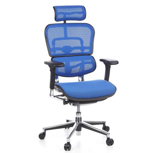 4260182531570 - Luxus Chefsessel ERGOHUMAN Netzstoff mit Armlehnen (höhenverstellbar) 4260182531570 - Luxus Chefsessel ERGOHUMAN Netzstoff mit Armlehnen (höhenverstellbar)