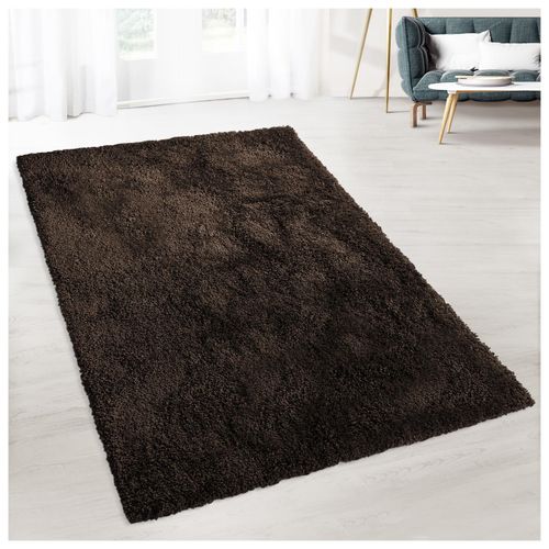4059382332953 - Floordirekt Shaggy-Teppich Prestige 25591 Braun Quadratisch 2000 mm x 2000 mm 4059382332953 - Floordirekt Shaggy-Teppich Prestige 25591 Braun Quadratisch 2000 mm x 2000 mm