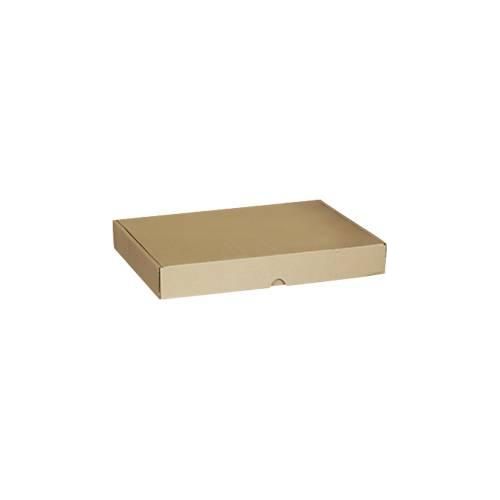 4055453000318 - Maxibriefkartons-Versandschachteln 233 x 170 x 45 mm 50 Stück