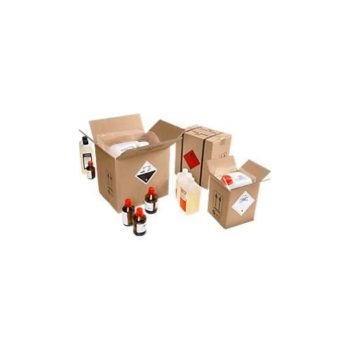 4055453003067 - Gefahrgut-Kartonagen G4 175 x 155 x 213 mm 10 St 4055453003067 - Gefahrgut-Kartonagen G4 175 x 155 x 213 mm 10 St