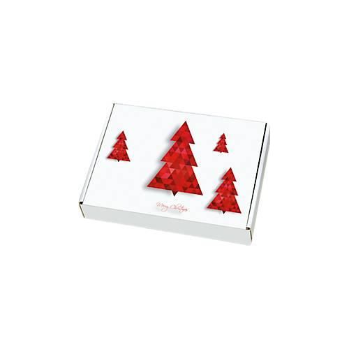 4055453000097 - Maxibriefkartons mit Motiv „Tannenbaum“ portooptimiert bis 20 kg Außenmaße 250 x 174 x 50 mm Mikrowellpappe weiß-braun 20 Stück 4055453000097 - Maxibriefkartons mit Motiv „Tannenbaum“ portooptimiert bis 20 kg Außenmaße 250 x 174 x 50 mm Mikrowellpappe weiß-braun 20 Stück