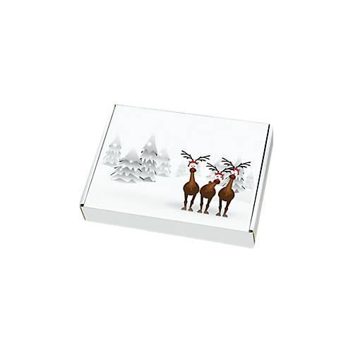 4055453000073 - Maxibriefkartons mit Motiv „Rentiere im Schnee“ portooptimiert bis 20 kg Außenmaße 250 x 174 x 50 mm Mikrowellpappe weiß-braun 20 Stück