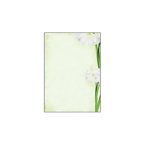 4004360814105 - SIGEL Motivpapier Green Flower Motiv DIN A4 90 g qm 25 Blatt 4004360814105 - SIGEL Motivpapier Green Flower Motiv DIN A4 90 g qm 25 Blatt