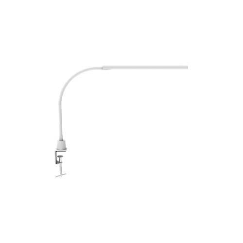 4002390091763 - LED-Klemmleuchte MAULpirro Leistung 7 W 4-Stufen-Dimmer 390 lm schwenkbar Klemmweite 45 mm weiß