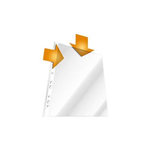 4005546231037 - DURABLE Prospekthüllen DIN A4 oben und Lochseite offen 100 Stück genarbt transparent 4005546231037 - DURABLE Prospekthüllen DIN A4 oben und Lochseite offen 100 Stück genarbt transparent