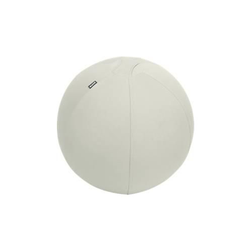 4002432134748 - Ergo Sitzball für aktives Sitzen 6541 Anti-Wegrolles Design Tragegriff Waschbar 55 cm Bis zu 120 kg Hellgrau