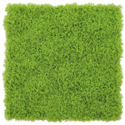9010585486473 - Dekogras Grün Kunststoff 50x50 cm Bsci Dekoration Kunstblumen 9010585486473 - Dekogras Grün Kunststoff 50x50 cm Bsci Dekoration Kunstblumen