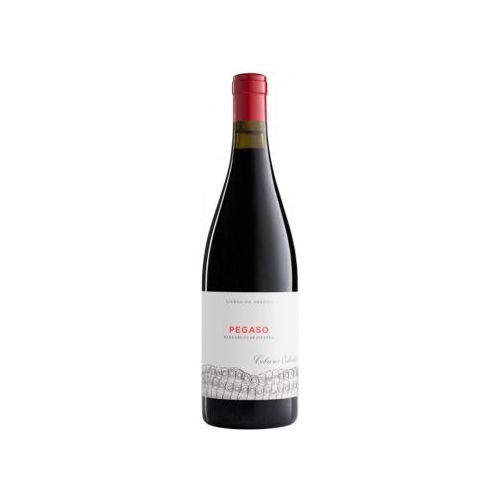 8436037408021 - Compañia de Vinos Telmo Rodríguez Pizarra 2020 - Pegaso - Telmo Rodríguez 8436037408021 - Compañia de Vinos Telmo Rodríguez Pizarra 2020 - Pegaso - Telmo Rodríguez