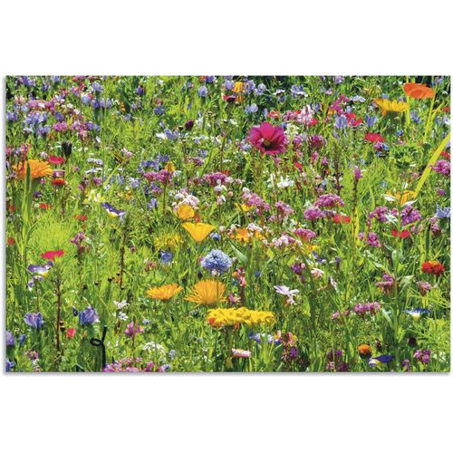 4062144669440 - Wandbild ARTLAND Bunte Blumenwiese Bilder Gr B H 30 cm x 20 cm Alu-Dibond-Druck Blumenwiese Querformat 1 St bunt Kunstdrucke als Alubild Leinwandbild Wandaufkleber oder Poster in versch Größen 4062144669440 - Wandbild ARTLAND Bunte Blumenwiese Bilder Gr B H 30 cm x 20 cm Alu-Dibond-Druck Blumenwiese Querformat 1 St bunt Kunstdrucke als Alubild Leinwandbild Wandaufkleber oder Poster in versch Größen