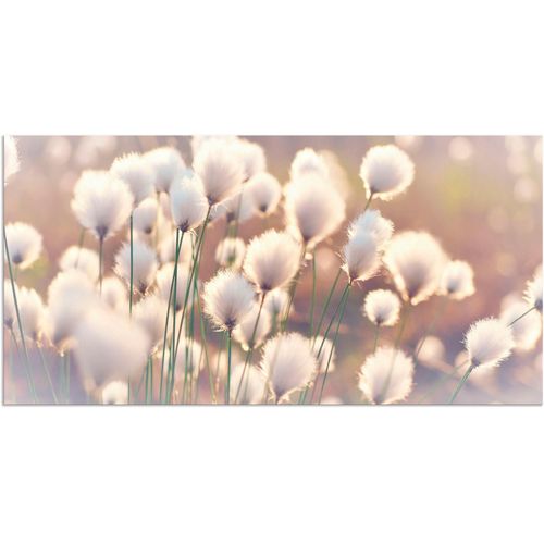 4059745196758 - Wandbild ARTLAND Wollgraszauber im Moor Bilder Gr B H 100 cm x 50 cm Alu-Dibond-Druck Gräser 1 St beige (naturfarben) Bild Kunstdruck Kunstdrucke Bilder als Alubild Leinwandbild Wandaufkleber oder Poster in versch Größen 4059745196758 - Wandbild ARTLAND Wollgraszauber im Moor Bilder Gr B H 100 cm x 50 cm Alu-Dibond-Druck Gräser 1 St beige (naturfarben) Bild Kunstdruck Kunstdrucke Bilder als Alubild Leinwandbild Wandaufkleber oder Poster in versch Größen