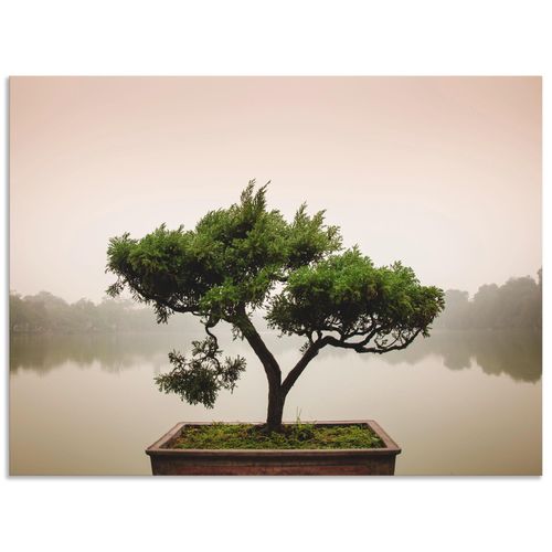 4058661934833 - Wandbild ARTLAND Chinesischer Bonsaibaum Bilder Gr B H 120 cm x 90 cm Alu-Dibond-Druck Bäume Querformat 1 St grün Bild Leinwandbild Kunstdrucke Bilder als Alubild Leinwandbild Wandaufkleber oder Poster in versch Größen