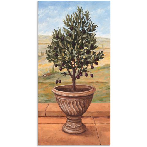 4057738418634 - Wandbild ARTLAND Olivenbaum Bilder Gr B H 50 cm x 100 cm Alu-Dibond-Druck Pflanzen 1 St grün Bild Metallbild Metallbilder Bilder als Alubild Leinwandbild Wandaufkleber oder Poster in versch Größen 4057738418634 - Wandbild ARTLAND Olivenbaum Bilder Gr B H 50 cm x 100 cm Alu-Dibond-Druck Pflanzen 1 St grün Bild Metallbild Metallbilder Bilder als Alubild Leinwandbild Wandaufkleber oder Poster in versch Größen