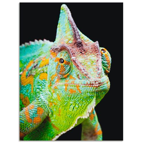 4057738375340 - Wandbild ARTLAND Yemen Chamäleon Bilder Gr B H 60 cm x 80 cm Alu-Dibond-Druck Reptilien Hochformat 1 St schwarz Bild Metallbild Metallbilder Bilder als Alubild Leinwandbild Wandaufkleber oder Poster in versch Größen 4057738375340 - Wandbild ARTLAND Yemen Chamäleon Bilder Gr B H 60 cm x 80 cm Alu-Dibond-Druck Reptilien Hochformat 1 St schwarz Bild Metallbild Metallbilder Bilder als Alubild Leinwandbild Wandaufkleber oder Poster in versch Größen
