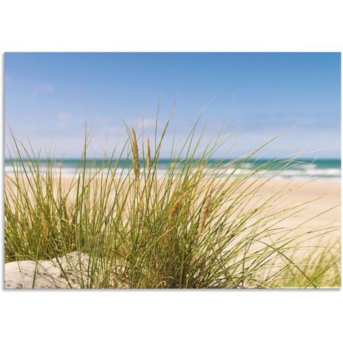 4059745774468 - Wandbild ARTLAND Dünengras Bilder Gr B H 100 cm x 70 cm Alu-Dibond-Druck Strand 1 St beige (naturfarben) Bild Leinwandbild Kunstdrucke Bilder als Alubild Leinwandbild Wandaufkleber oder Poster in versch Größen 4059745774468 - Wandbild ARTLAND Dünengras Bilder Gr B H 100 cm x 70 cm Alu-Dibond-Druck Strand 1 St beige (naturfarben) Bild Leinwandbild Kunstdrucke Bilder als Alubild Leinwandbild Wandaufkleber oder Poster in versch Größen