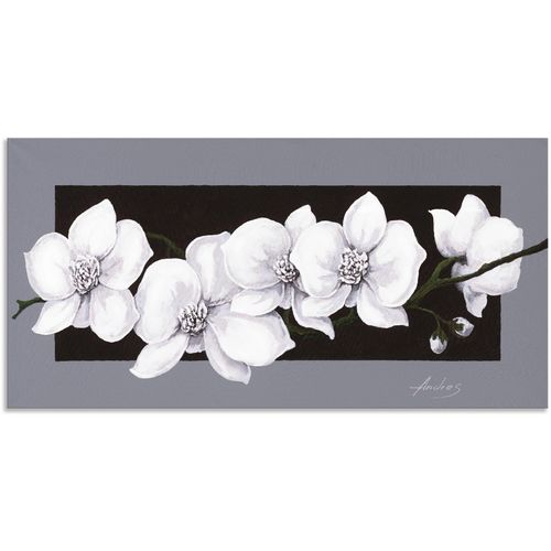4057738422778 - Wandbild ARTLAND Weiße Orchideen auf grau Bilder Gr B H 100 cm x 50 cm Alu-Dibond-Druck Blumen 1 St schwarz Bild Leinwandbild Kunstdrucke Bilder als Alubild Leinwandbild Wandaufkleber oder Poster in versch Größen 4057738422778 - Wandbild ARTLAND Weiße Orchideen auf grau Bilder Gr B H 100 cm x 50 cm Alu-Dibond-Druck Blumen 1 St schwarz Bild Leinwandbild Kunstdrucke Bilder als Alubild Leinwandbild Wandaufkleber oder Poster in versch Größen