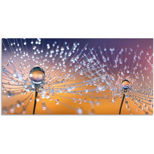 4062144595626 - Wandbild ARTLAND Pusteblumen Tautropfen Bilder Gr B H 100 cm x 50 cm Alu-Dibond-Druck Blumenbilder Querformat 1 St orange Kunstdrucke als Alubild Leinwandbild Wandaufkleber oder Poster in versch Größen 4062144595626 - Wandbild ARTLAND Pusteblumen Tautropfen Bilder Gr B H 100 cm x 50 cm Alu-Dibond-Druck Blumenbilder Querformat 1 St orange Kunstdrucke als Alubild Leinwandbild Wandaufkleber oder Poster in versch Größen