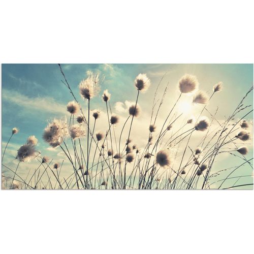 4059745195782 - Wandbild ARTLAND Wollgras Bilder Gr B H 60 cm x 30 cm Alu-Dibond-Druck Gräser 1 St blau Bild Kunstdruck Kunstdrucke Bilder als Alubild Leinwandbild Wandaufkleber oder Poster in versch Größen 4059745195782 - Wandbild ARTLAND Wollgras Bilder Gr B H 60 cm x 30 cm Alu-Dibond-Druck Gräser 1 St blau Bild Kunstdruck Kunstdrucke Bilder als Alubild Leinwandbild Wandaufkleber oder Poster in versch Größen