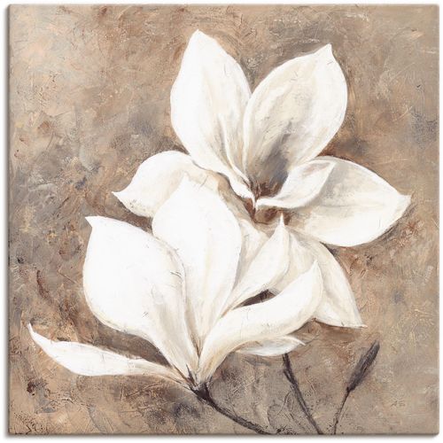 4055327222303 - Wandbild ARTLAND Klassische Magnolien Bilder Gr B H 40 cm x 40 cm Leinwandbild Blumen 1 St beige (naturfarben) Bild Leinwandbild Kunstdrucke Bilder als Alubild Leinwandbild Wandaufkleber oder Poster in versch Größen 4055327222303 - Wandbild ARTLAND Klassische Magnolien Bilder Gr B H 40 cm x 40 cm Leinwandbild Blumen 1 St beige (naturfarben) Bild Leinwandbild Kunstdrucke Bilder als Alubild Leinwandbild Wandaufkleber oder Poster in versch Größen