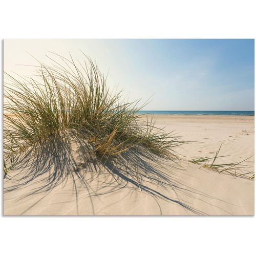 4059745775250 - Wandbild ARTLAND Strandgras Bilder Gr B H 100 cm x 70 cm Alu-Dibond-Druck Küste 1 St beige (naturfarben) Bild Leinwandbild Kunstdrucke Bilder als Alubild Leinwandbild Wandaufkleber oder Poster in versch Größen 4059745775250 - Wandbild ARTLAND Strandgras Bilder Gr B H 100 cm x 70 cm Alu-Dibond-Druck Küste 1 St beige (naturfarben) Bild Leinwandbild Kunstdrucke Bilder als Alubild Leinwandbild Wandaufkleber oder Poster in versch Größen