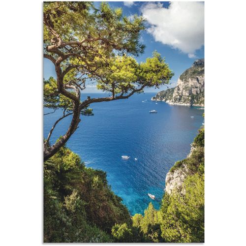 4062144661598 - Wandbild ARTLAND Punta de Masullo Insel Capri Italien Bilder Gr B H 60 cm x 90 cm Alu-Dibond-Druck Meer Bilder Hochformat 1 St blau Kunstdrucke als Alubild Leinwandbild Wandaufkleber oder Poster in versch Größen 4062144661598 - Wandbild ARTLAND Punta de Masullo Insel Capri Italien Bilder Gr B H 60 cm x 90 cm Alu-Dibond-Druck Meer Bilder Hochformat 1 St blau Kunstdrucke als Alubild Leinwandbild Wandaufkleber oder Poster in versch Größen