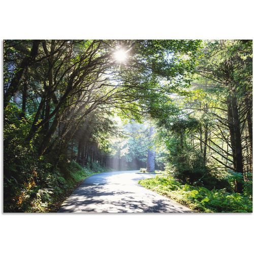4062144596180 - Wandbild ARTLAND Sonniger Wald Bilder Gr B H 130 cm x 90 cm Alu-Dibond-Druck Baumbilder Querformat 1 St grün Kunstdrucke als Alubild Leinwandbild Wandaufkleber oder Poster in versch Größen 4062144596180 - Wandbild ARTLAND Sonniger Wald Bilder Gr B H 130 cm x 90 cm Alu-Dibond-Druck Baumbilder Querformat 1 St grün Kunstdrucke als Alubild Leinwandbild Wandaufkleber oder Poster in versch Größen
