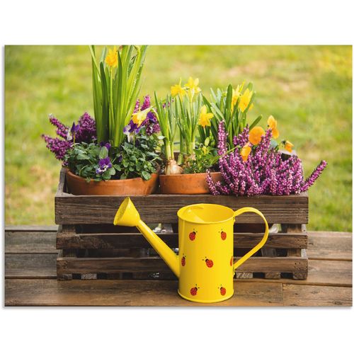 4059745778077 - Wandbild ARTLAND Holzkiste Heidekraut Narzissen Gießkanne Bilder Gr B H 120 cm x 90 cm Alu-Dibond-Druck Vasen & Töpfe 1 St bunt Bild Poster Bilder als Alubild Leinwandbild Wandaufkleber oder in versch Größen 4059745778077 - Wandbild ARTLAND Holzkiste Heidekraut Narzissen Gießkanne Bilder Gr B H 120 cm x 90 cm Alu-Dibond-Druck Vasen & Töpfe 1 St bunt Bild Poster Bilder als Alubild Leinwandbild Wandaufkleber oder in versch Größen