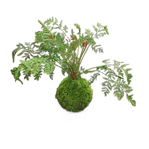 4251312969752 - Kunstpflanze Farn-Busch Flora 4251312969752 - Kunstpflanze Farn-Busch Flora