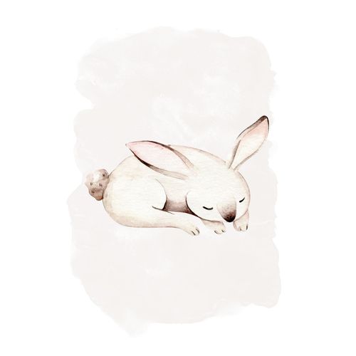 4055065200137 - Poster KOMAR Sleepy Bunny Bilder Gr B H 30 cm x 40 cm 1 St schwarz (schwarz weiß) Poster