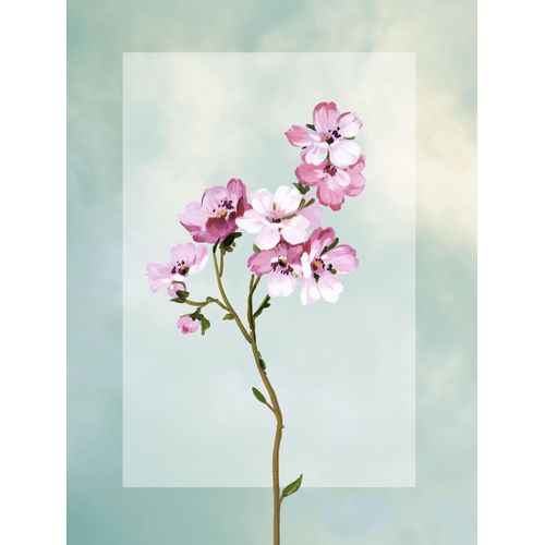 4055065179358 - Bild »Lever et Briller« Natur (1 St) Wandbild zur Dekoration - ohne Rahmen 4055065179358 - Bild »Lever et Briller« Natur (1 St) Wandbild zur Dekoration - ohne Rahmen