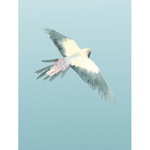 4055065178382 - Bild »Ciel« Natur (1 St) Wandbild zur Dekoration - ohne Rahmen 4055065178382 - Bild »Ciel« Natur (1 St) Wandbild zur Dekoration - ohne Rahmen