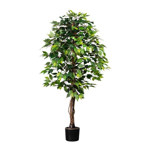 4064118246190 - P & B Kunstpflanze Braun Grün Schwarz Kunststoff Naturmaterialien 150 cm inkl Topf mit Naturstamm Dekoration Blumen & Zubehör 4064118246190 - P & B Kunstpflanze Braun Grün Schwarz Kunststoff Naturmaterialien 150 cm inkl Topf mit Naturstamm Dekoration Blumen & Zubehör