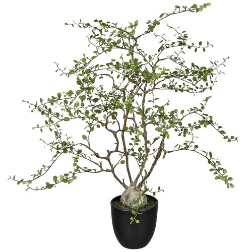 4064118257165 - Kunstpflanze Mühlenbeckia 4064118257165 - Kunstpflanze Mühlenbeckia