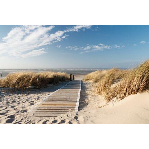 4050743033625 - Kunstdruck HOLZWEG ZUM MEER (LB 80x120 cm) LB 80x120 cm bunt Bild Gemälde Wandbild