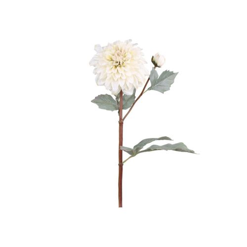 5712750296507 - Chic Antique Fleur Dahlien L48 cm creme 5712750296507 - Chic Antique Fleur Dahlien L48 cm creme
