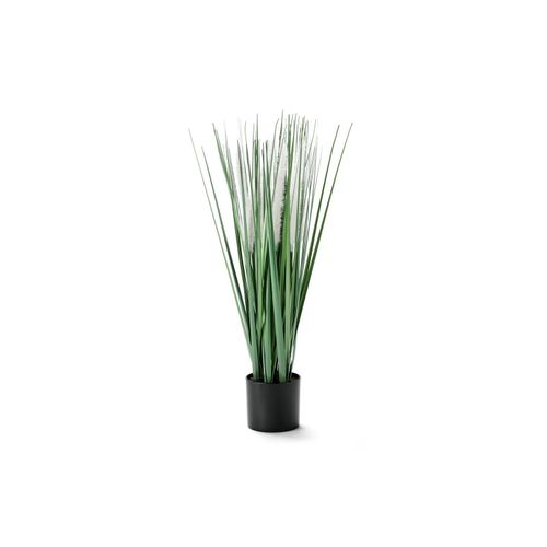 4063676806716 - - Kunstpflanze »Gräser und Pampas« im Topf - grün 4063676806716 - - Kunstpflanze »Gräser und Pampas« im Topf - grün